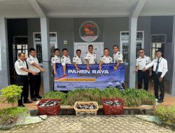 Panen Raya Serentak, Lapas Way Kanan Siap Dukung Ketahanan Pangan Nasional*