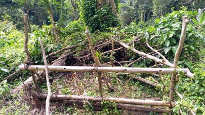 Izin KTH di Hutan Pendem Jadi Sorotan, Dugaan Perambahan Tunggu Klarifikasi Resmi