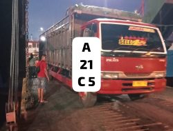 Pengawasan Karantina di Gilimanuk Jadi Sorotan, Dugaan Sapi Bali Menyeberang Tanpa Pemeriksaan Ketat Muncul