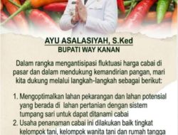 Kejar Swasembada Cabai, Bupati Way Kanan Instruksikan Warga Manfaatkan Lahan Pekarangan